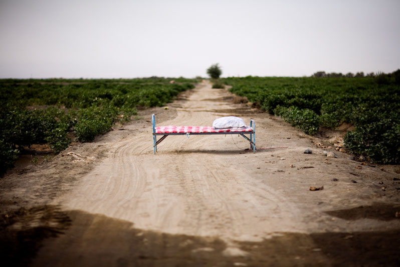 Turpan, 2011
